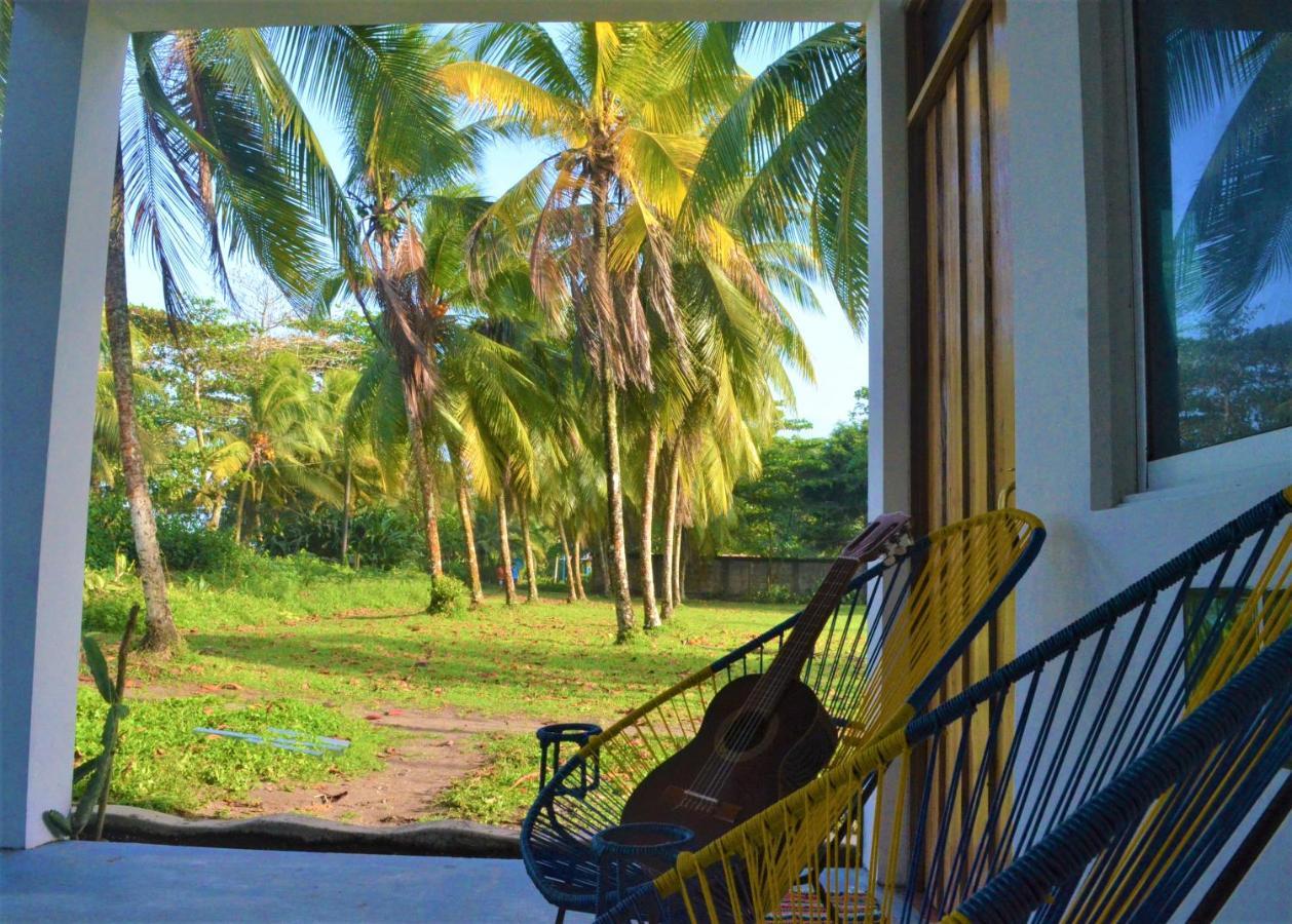 Hotel Pura Natura Beachfront Tortuguero Extérieur photo