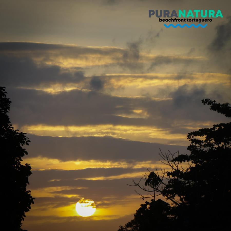 Hotel Pura Natura Beachfront Tortuguero Extérieur photo
