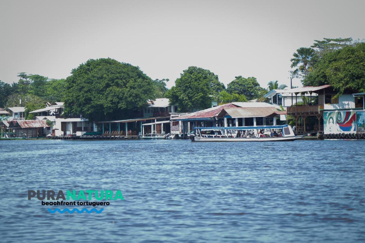 Hotel Pura Natura Beachfront Tortuguero Extérieur photo
