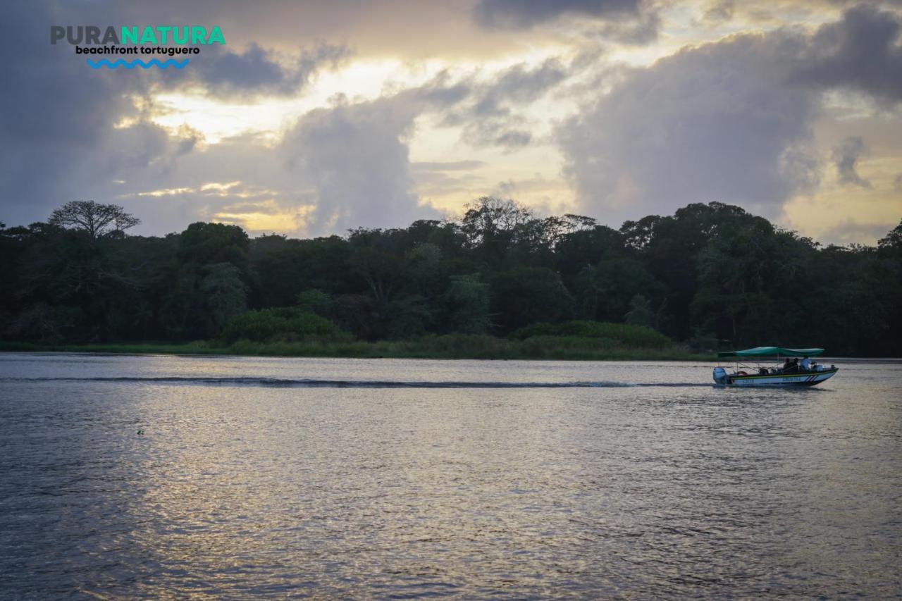Hotel Pura Natura Beachfront Tortuguero Extérieur photo