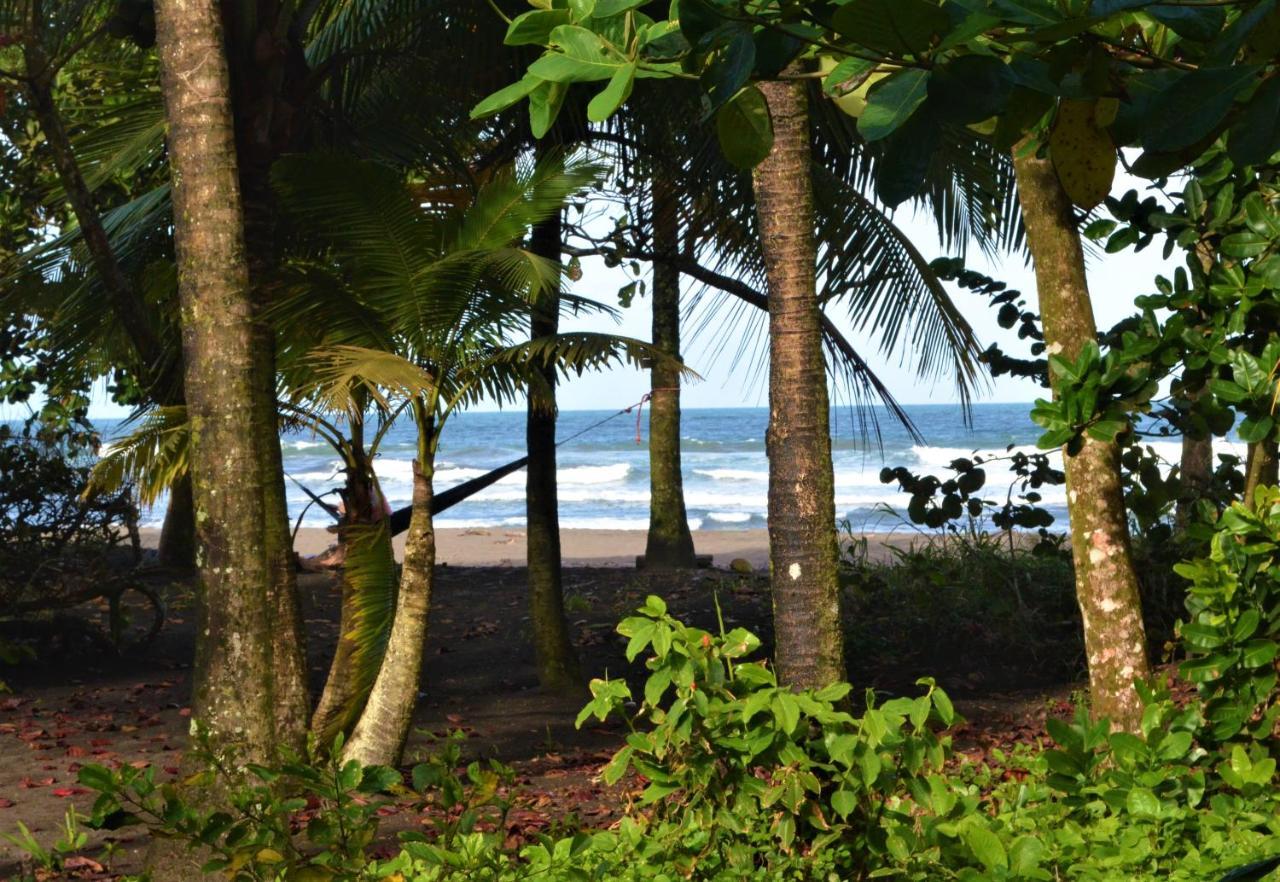 Hotel Pura Natura Beachfront Tortuguero Extérieur photo