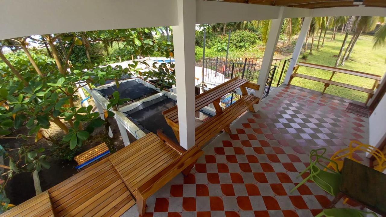Hotel Pura Natura Beachfront Tortuguero Extérieur photo