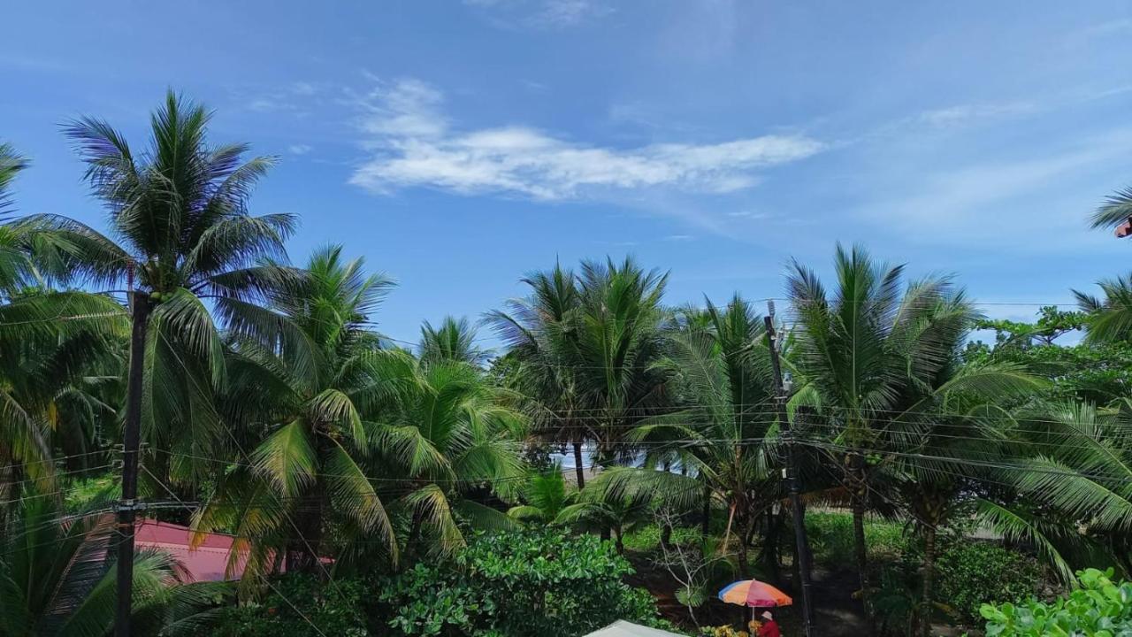 Hotel Pura Natura Beachfront Tortuguero Extérieur photo