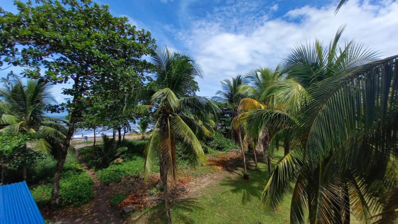 Hotel Pura Natura Beachfront Tortuguero Extérieur photo