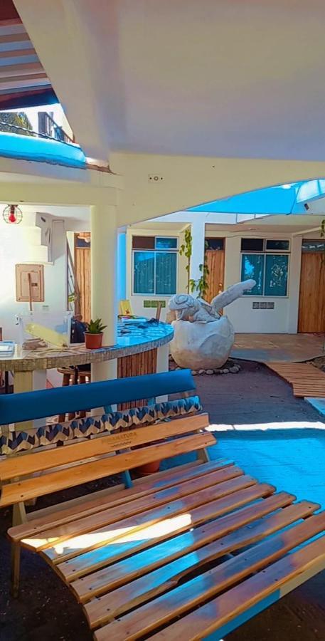 Hotel Pura Natura Beachfront Tortuguero Extérieur photo
