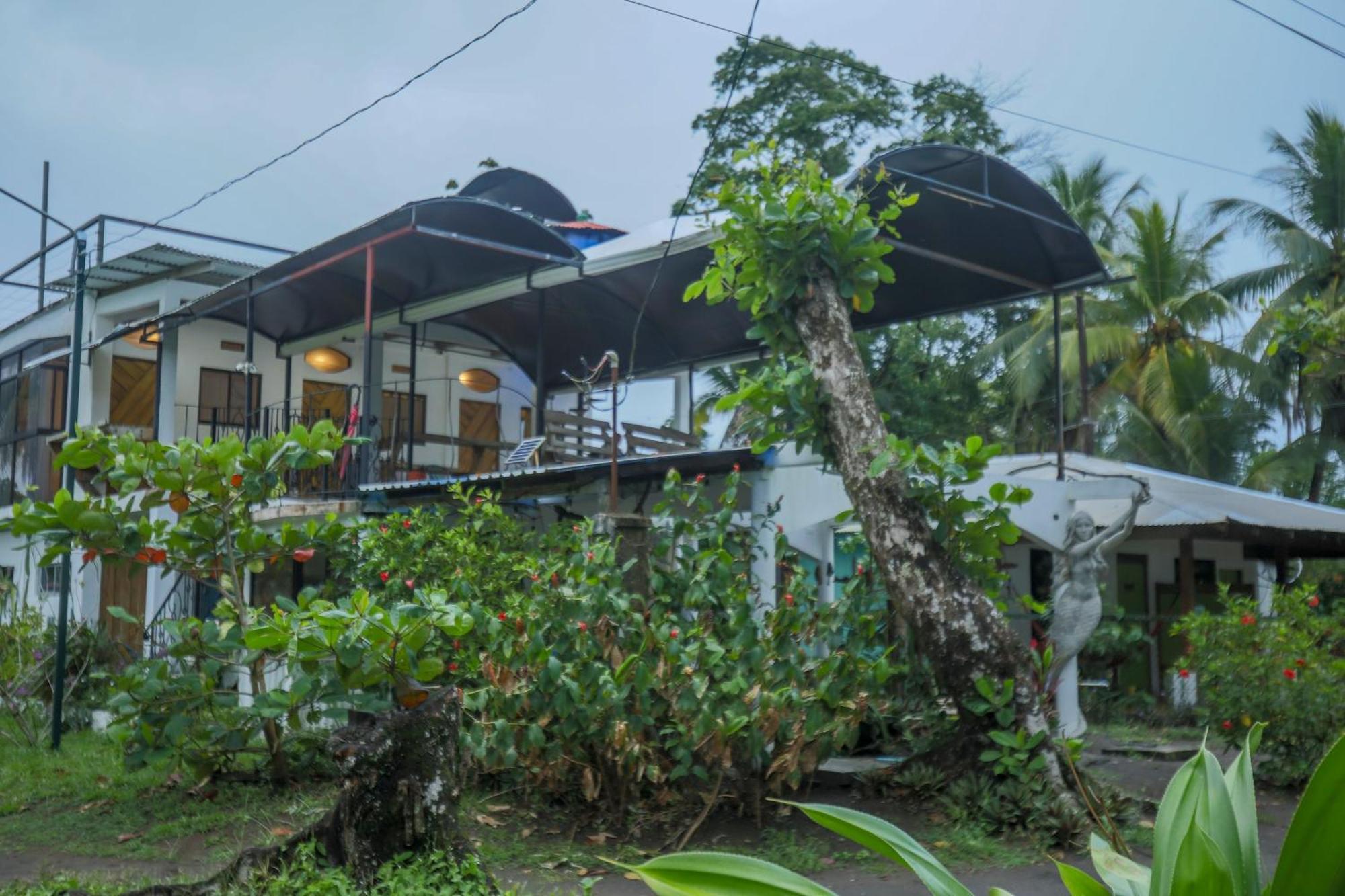 Hotel Pura Natura Beachfront Tortuguero Extérieur photo
