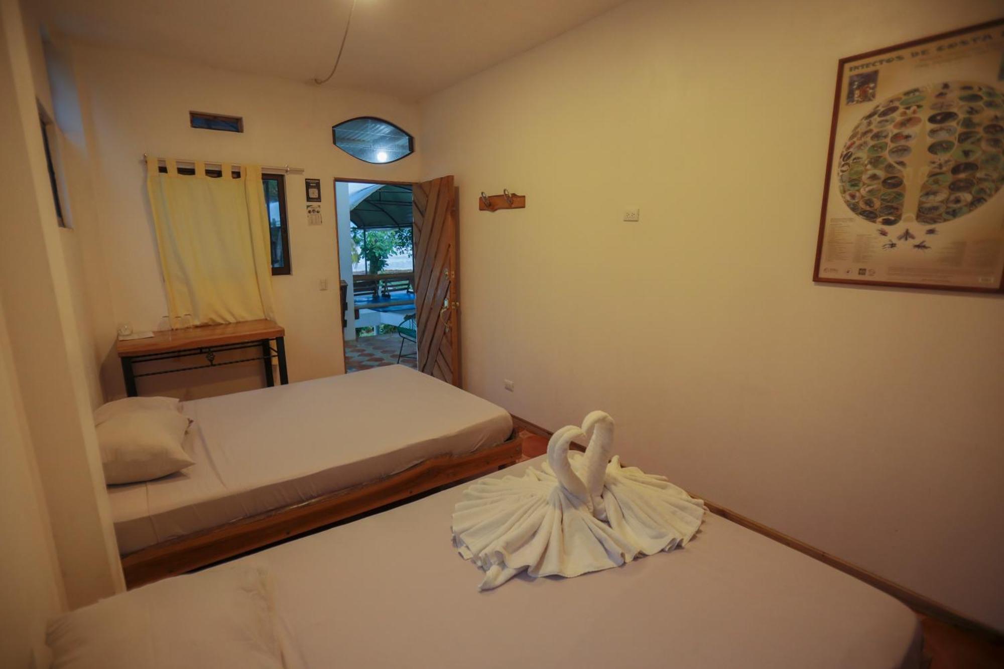 Hotel Pura Natura Beachfront Tortuguero Extérieur photo