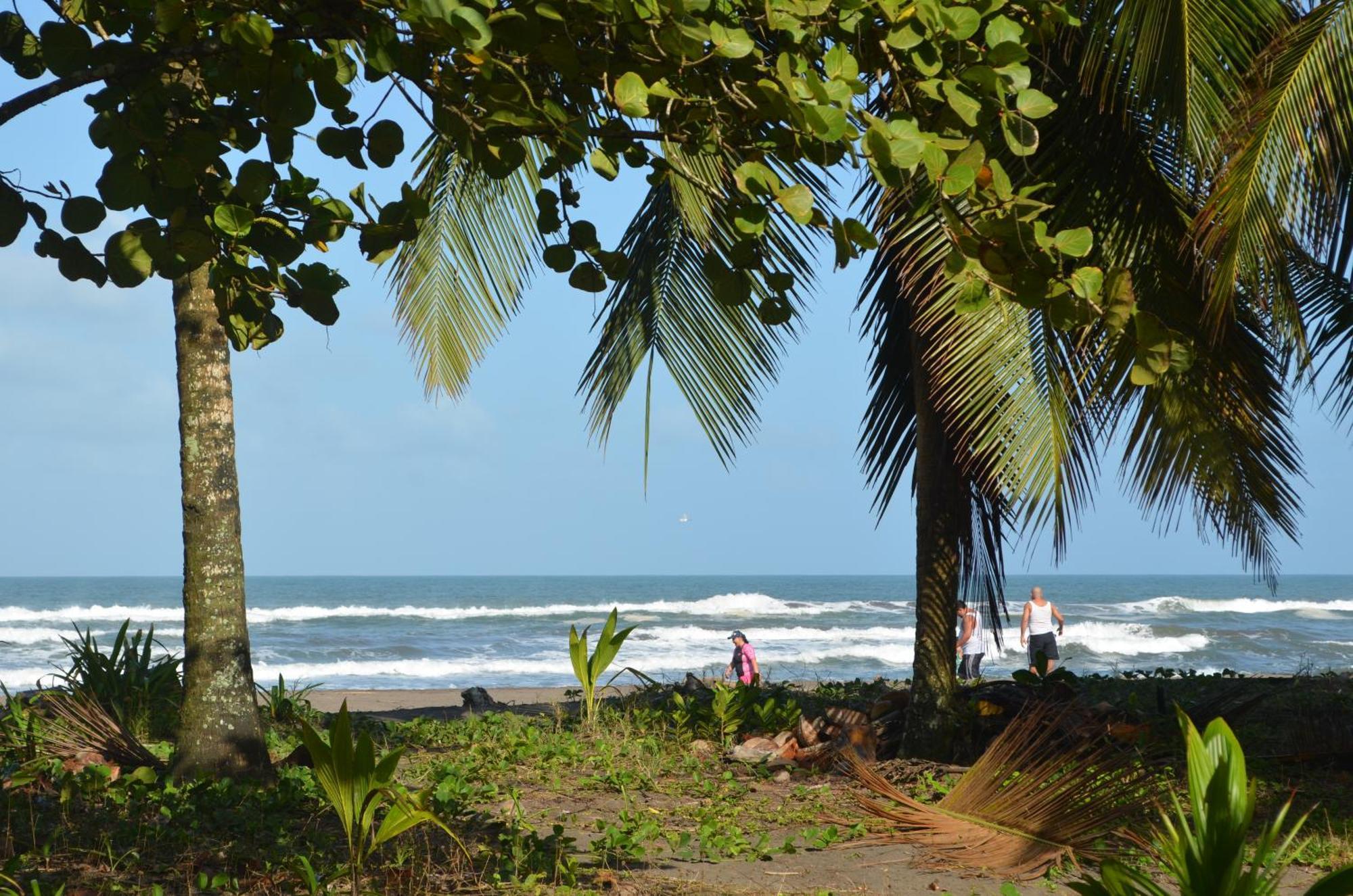 Hotel Pura Natura Beachfront Tortuguero Extérieur photo
